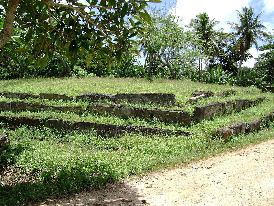 Tonga — local market for multi-vendor marketplaces