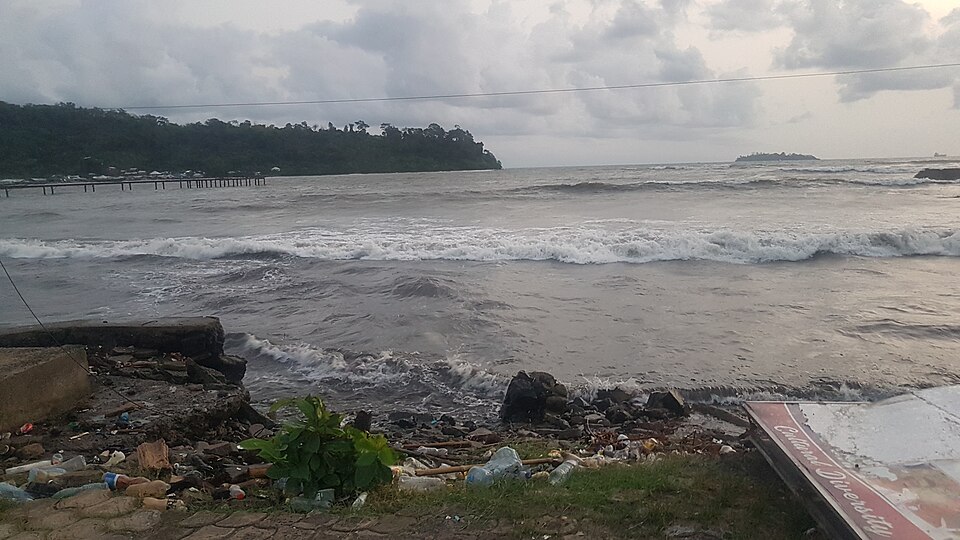 Limbe — local market for service booking platforms