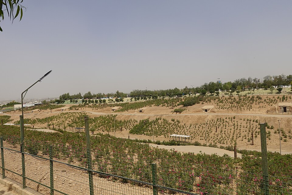 Erbil — international and multi-region stores for local businesses