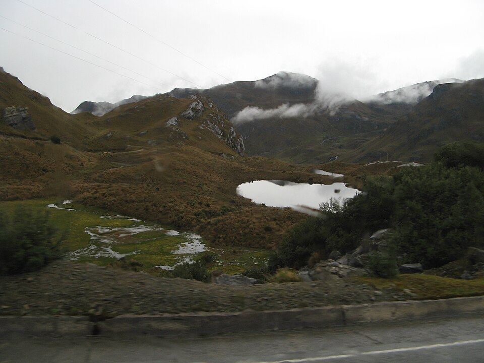 Ecuador — local market for multi-vendor marketplaces