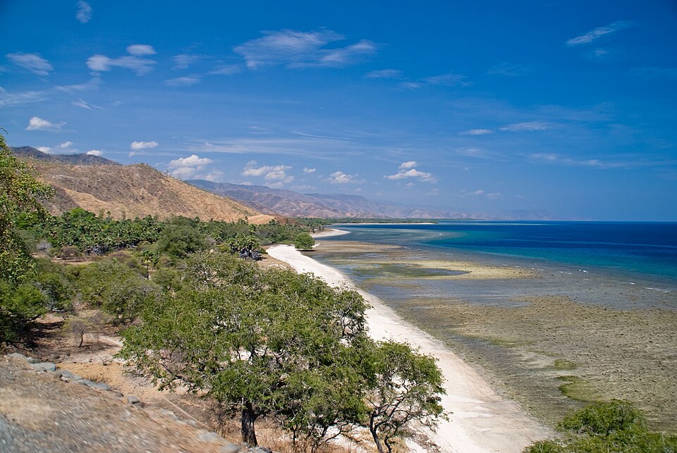 Timor-Leste — online stores for local businesses