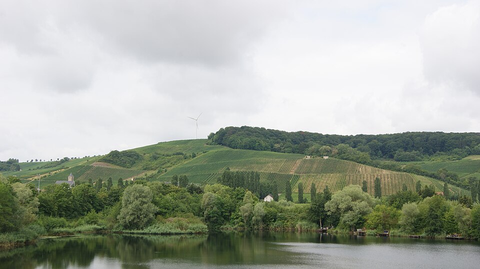 Luxembourg — local market for manufacturer and distributor portals