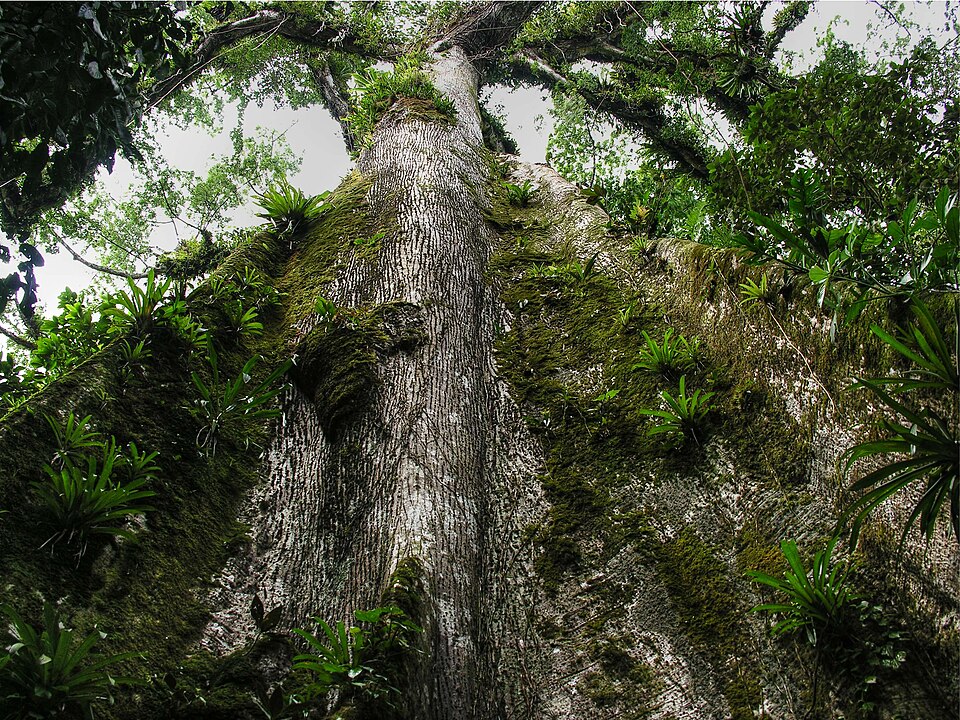Costa Rica — manufacturer and distributor portals for local businesses