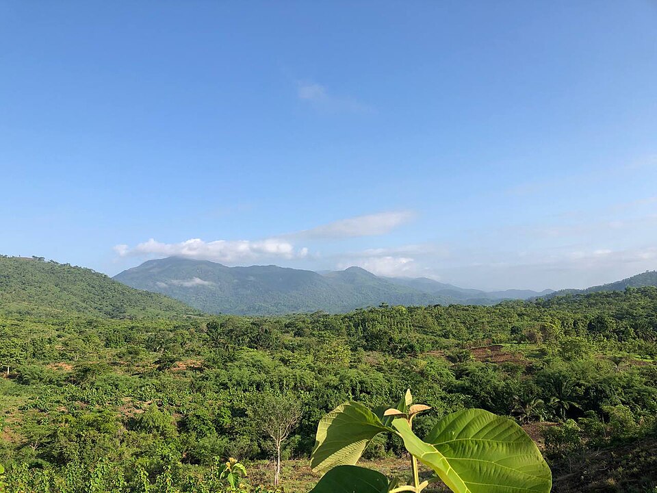 Morogoro — local market for service booking platforms