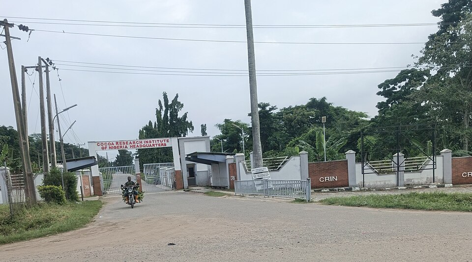 Ibadan — service booking platforms for local businesses