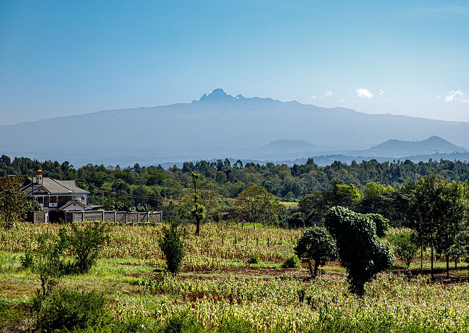 Nyeri — local market for manufacturer and distributor portals