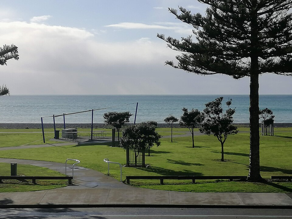 Napier — local market for custom e-commerce platforms