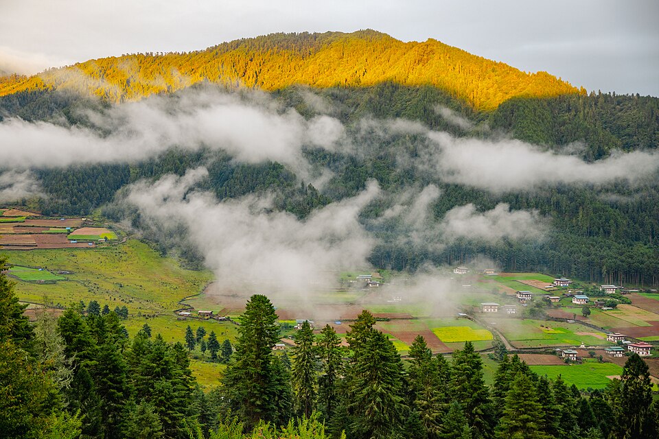 Bhutan — local market for subscription and membership platforms