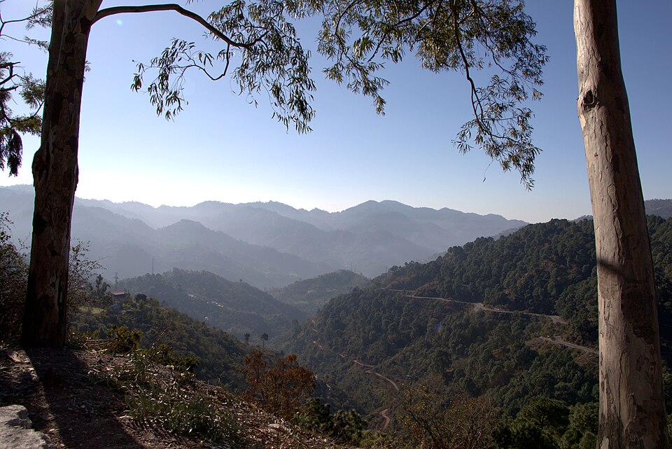 Kasauli — multi-vendor marketplaces for local businesses