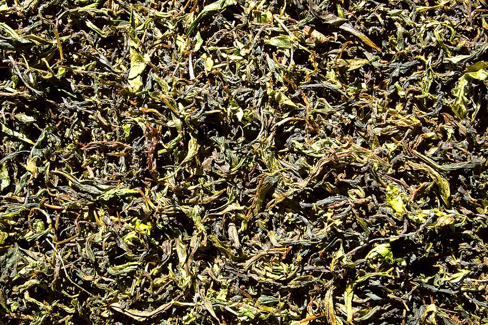 Darjeeling — service booking platforms for local businesses