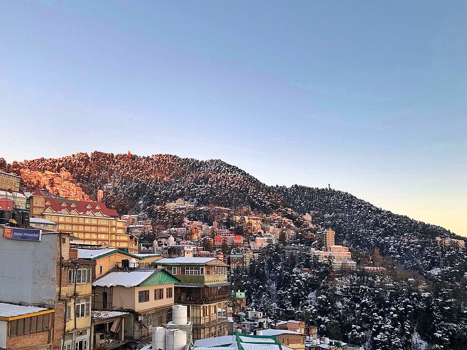 Shimla — multi-vendor marketplaces for local businesses