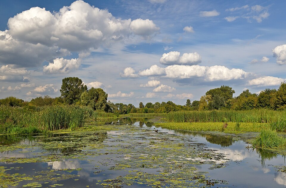 Dnipro — local market for international and multi-region stores