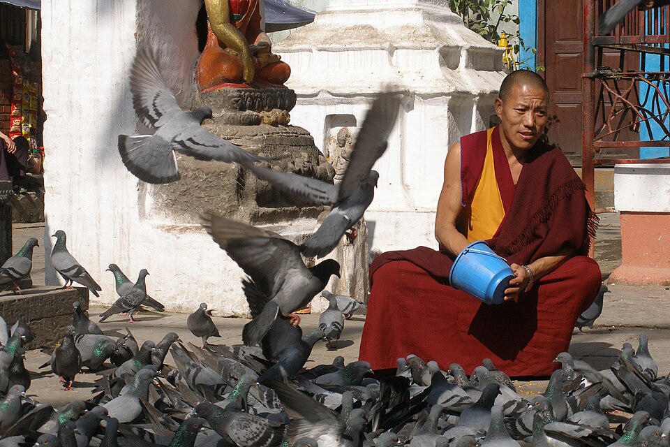 Kathmandu — custom e-commerce platforms for local businesses