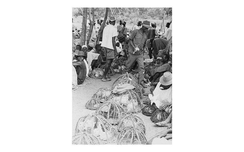 Côte d'Ivoire — local market for multi-vendor marketplaces