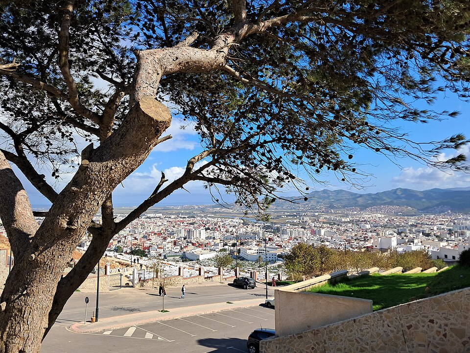 Tétouan — local market for mobile commerce apps