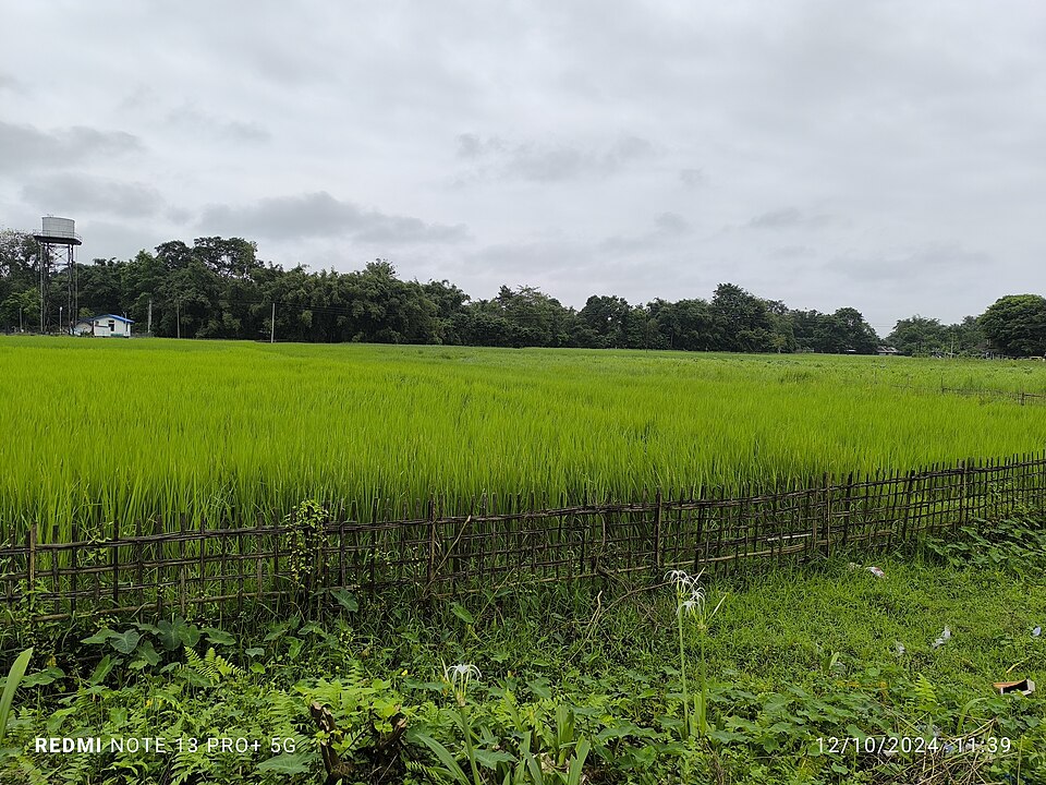 Dibrugarh — local market for subscription and membership platforms