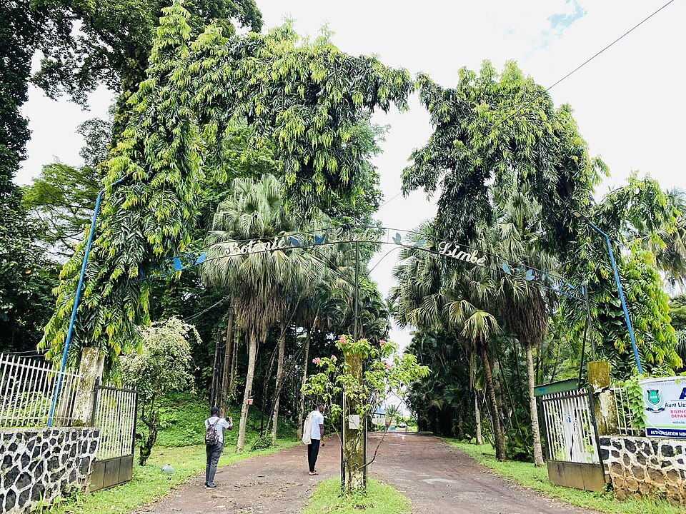 Limbe — multi-vendor marketplaces for local businesses