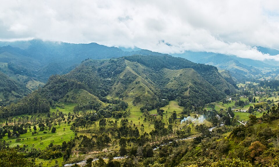Colombia — local market for manufacturer and distributor portals