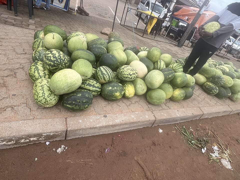 Palapye — local market for B2B and wholesale portals
