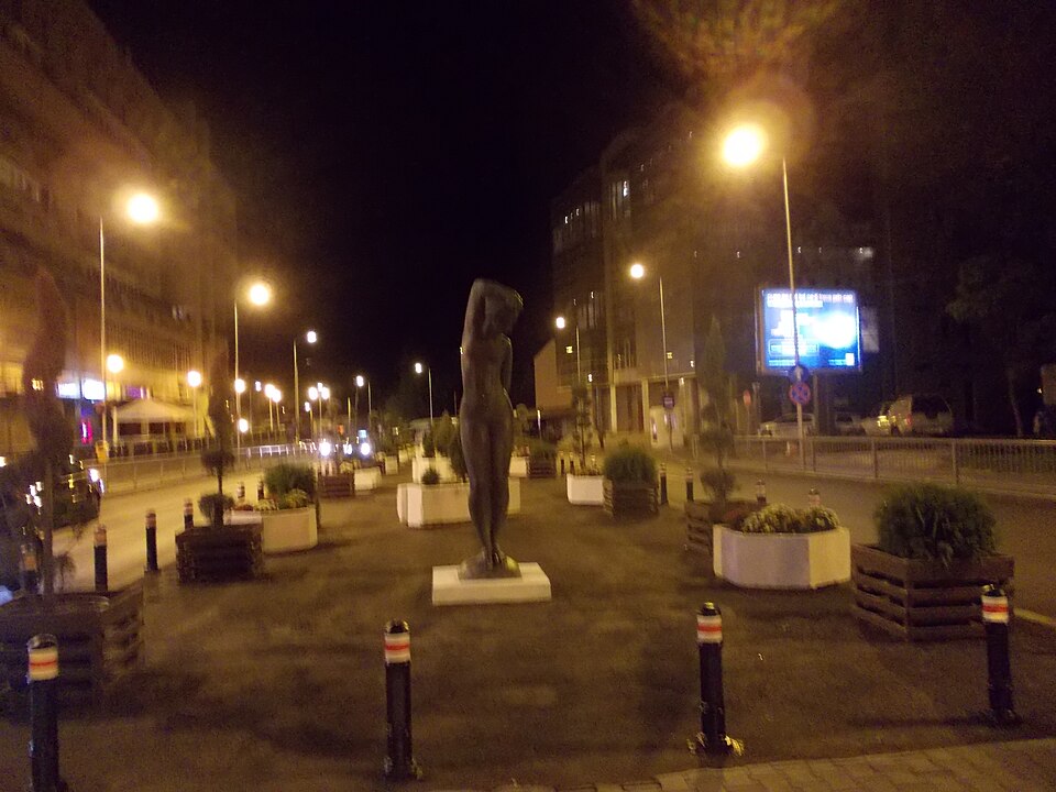 Craiova — local market for mobile commerce apps