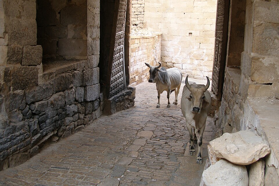 Jaisalmer — manufacturer and distributor portals for local businesses