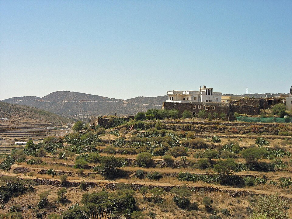 Abha — local market for B2B and wholesale portals