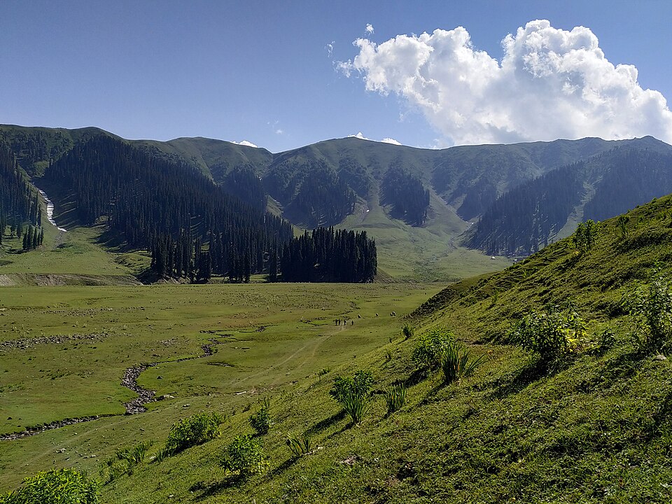 Kupwara — local market for online stores