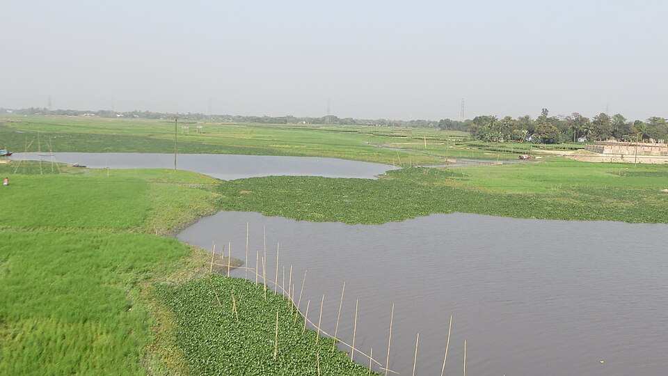 Narayanganj — local market for international and multi-region stores