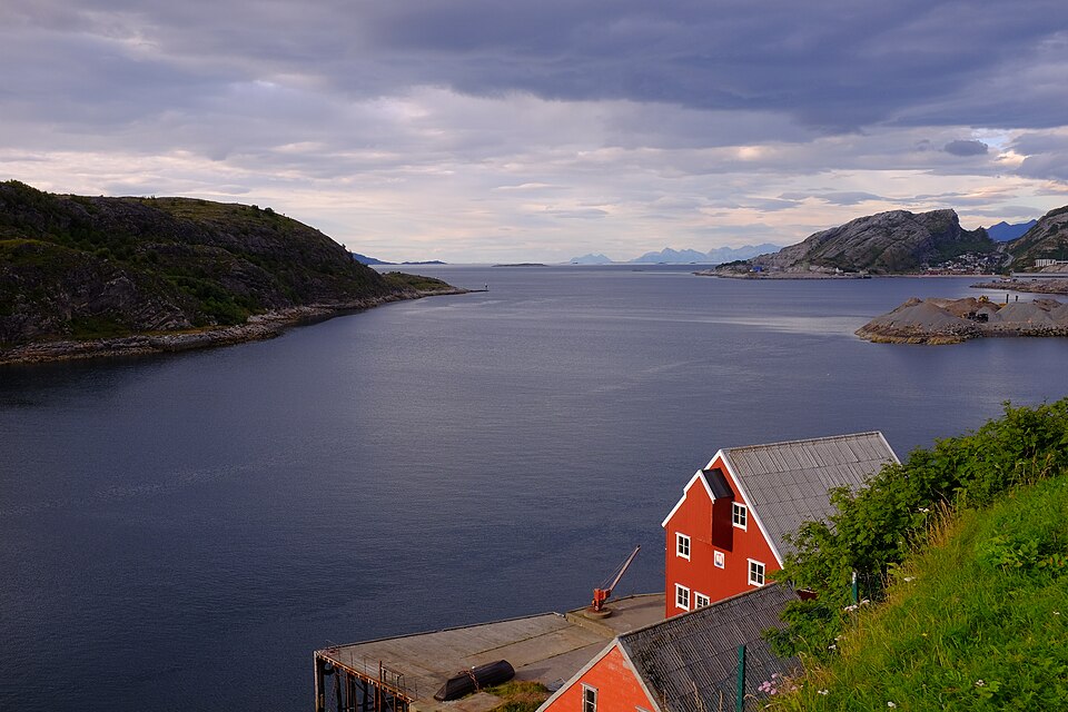 Bodø — local market for B2B and wholesale portals