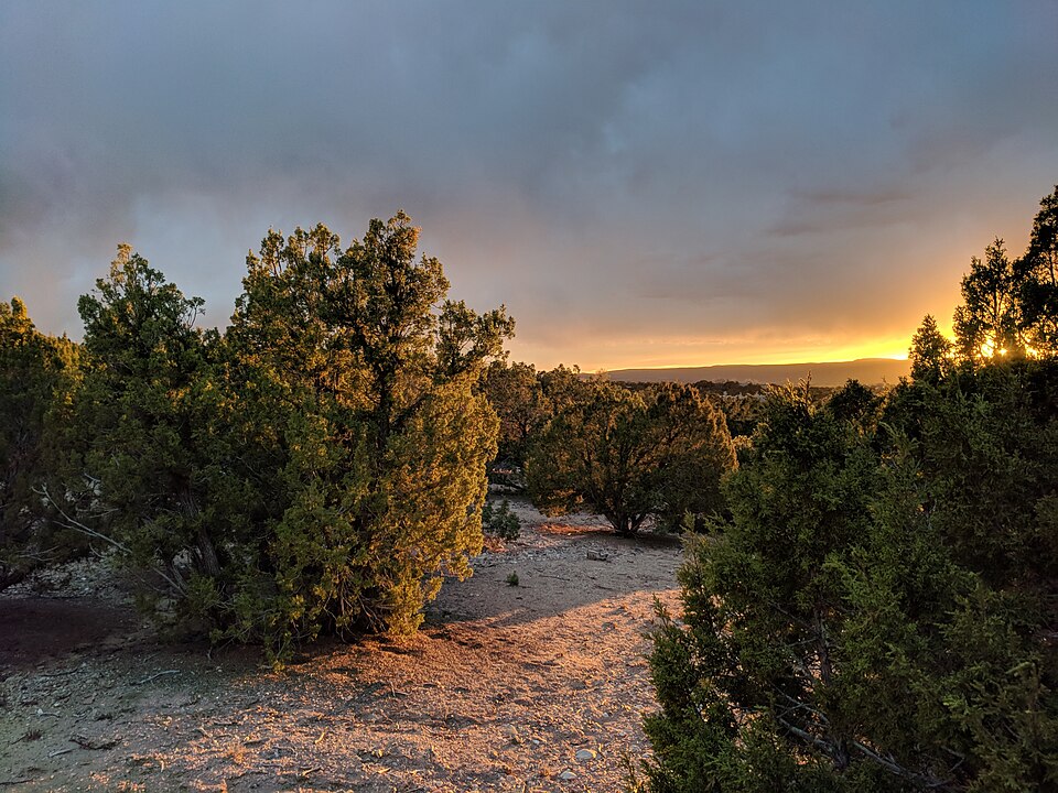 Santa Fe — local market for mobile commerce apps