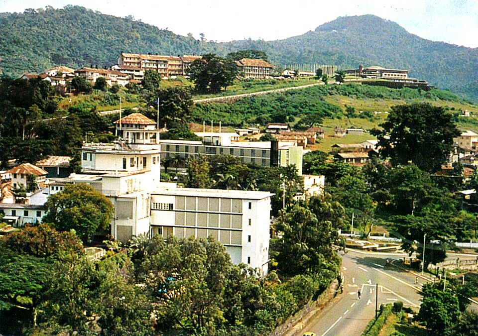 Freetown — local market for manufacturer and distributor portals