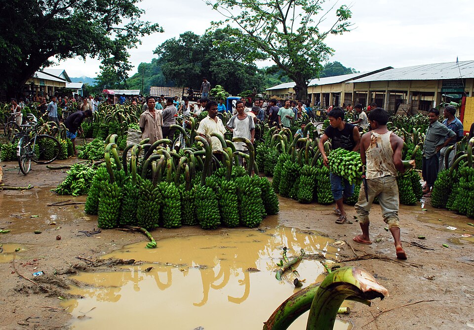 Goalpara — manufacturer and distributor portals for local businesses