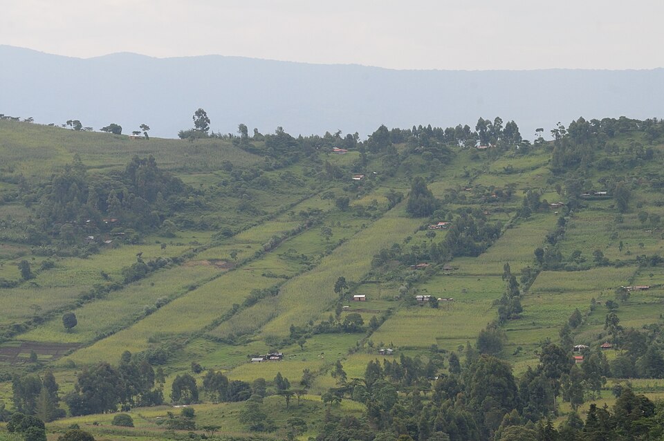Kenya — local market for international and multi-region stores
