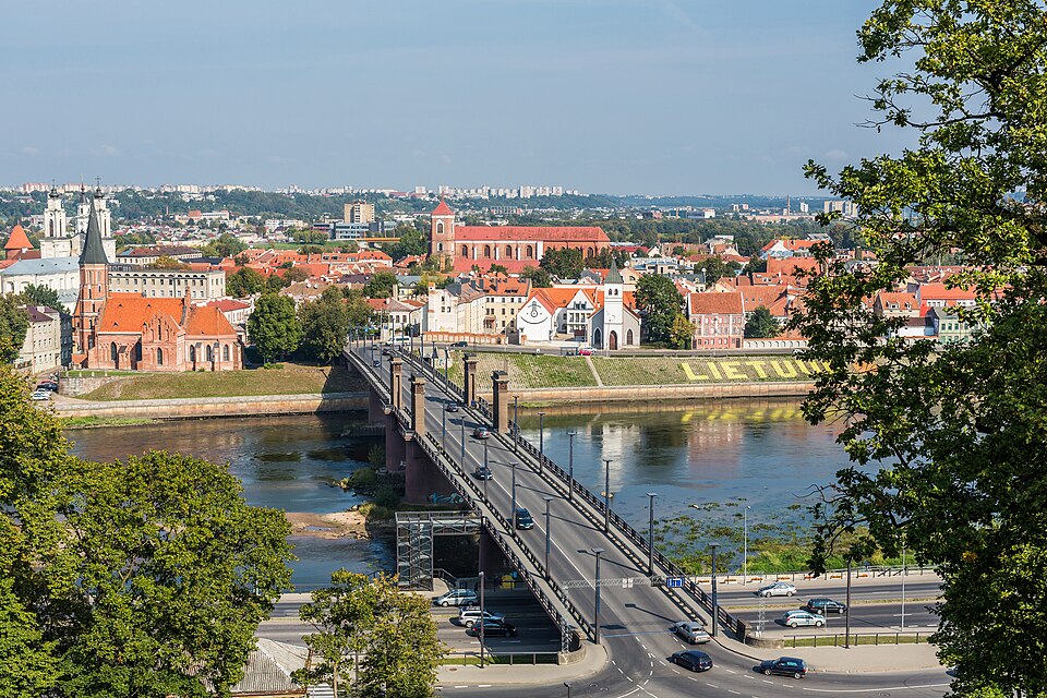 Kaunas — local market for service booking platforms