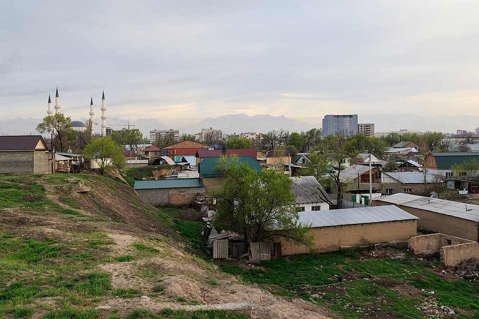 Bishkek — international and multi-region stores for local businesses