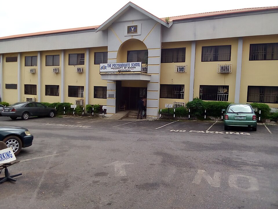 Ibadan — local market for subscription and membership platforms