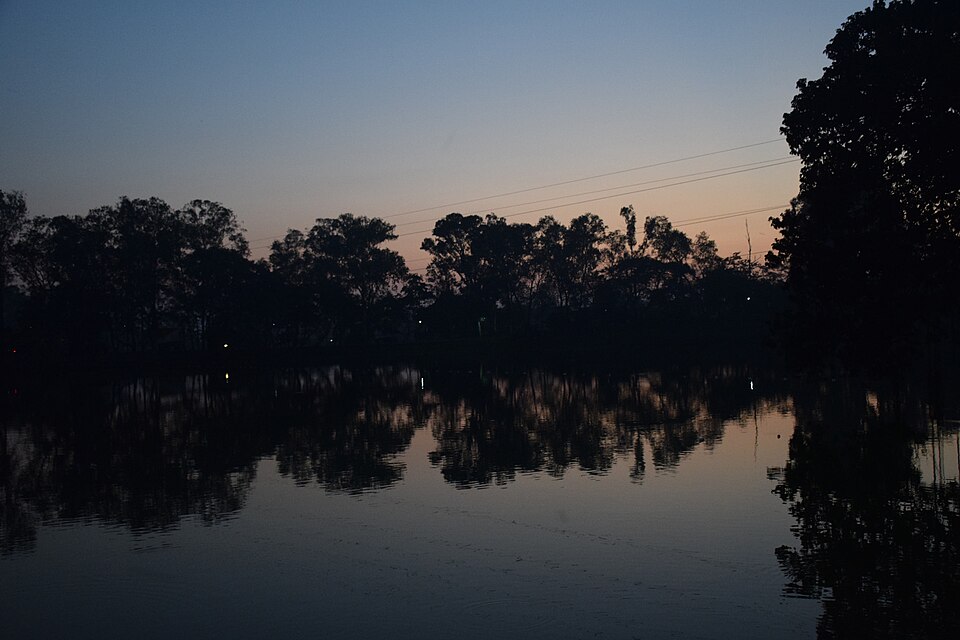Tezpur — online stores for local businesses