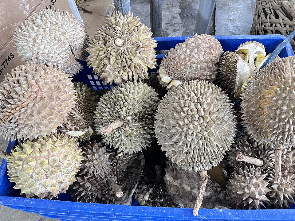 Davao City — local market for mobile commerce apps