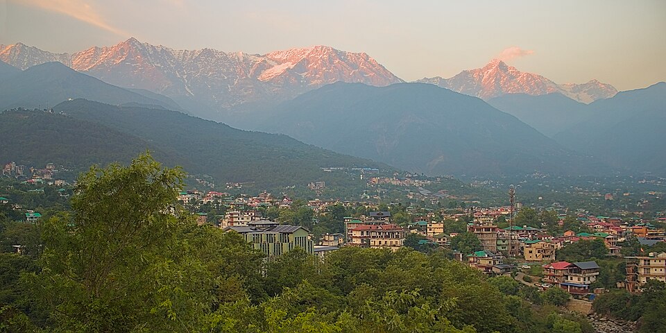 Dharamshala — local market for multi-vendor marketplaces