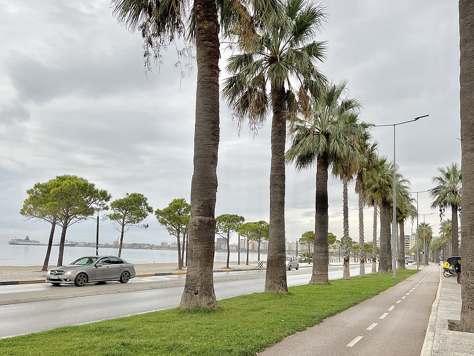 Vlorë — B2B and wholesale portals for local businesses