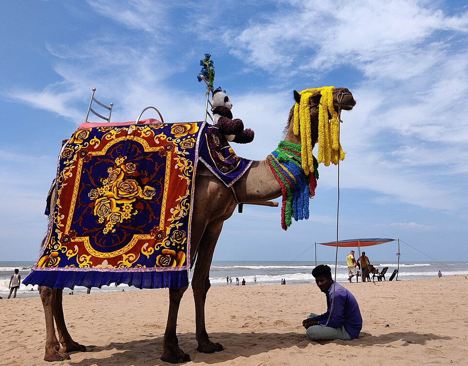 Puri — local market for service booking platforms