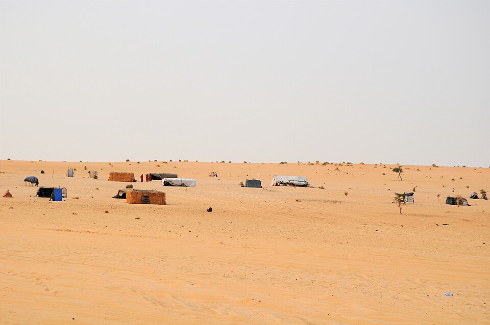 Niamey — custom e-commerce platforms for local businesses