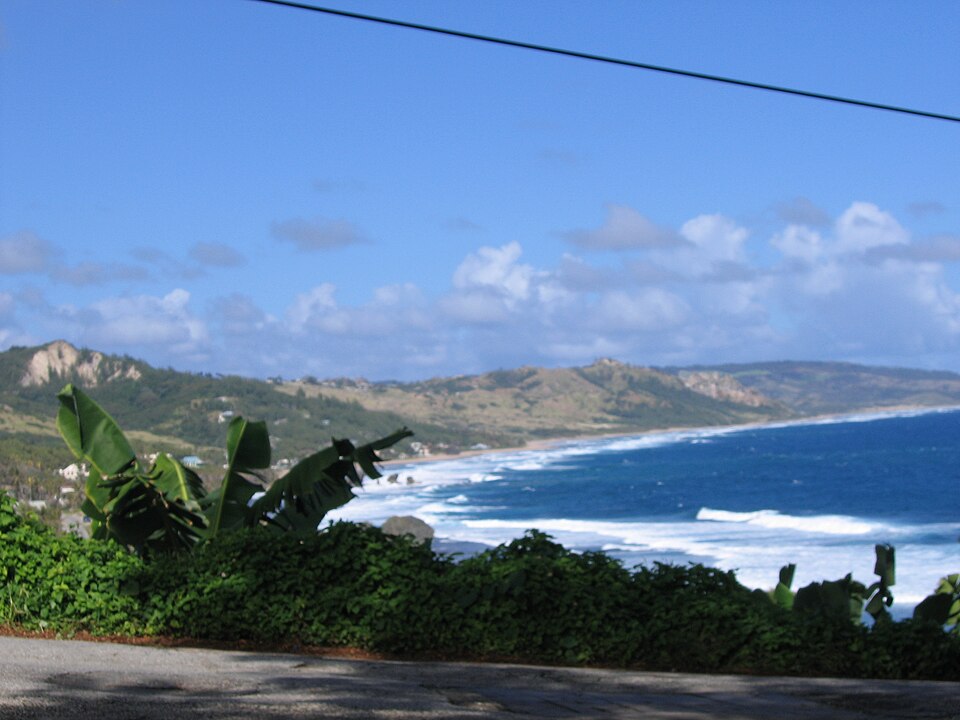 Bathsheba — local market for B2B and wholesale portals