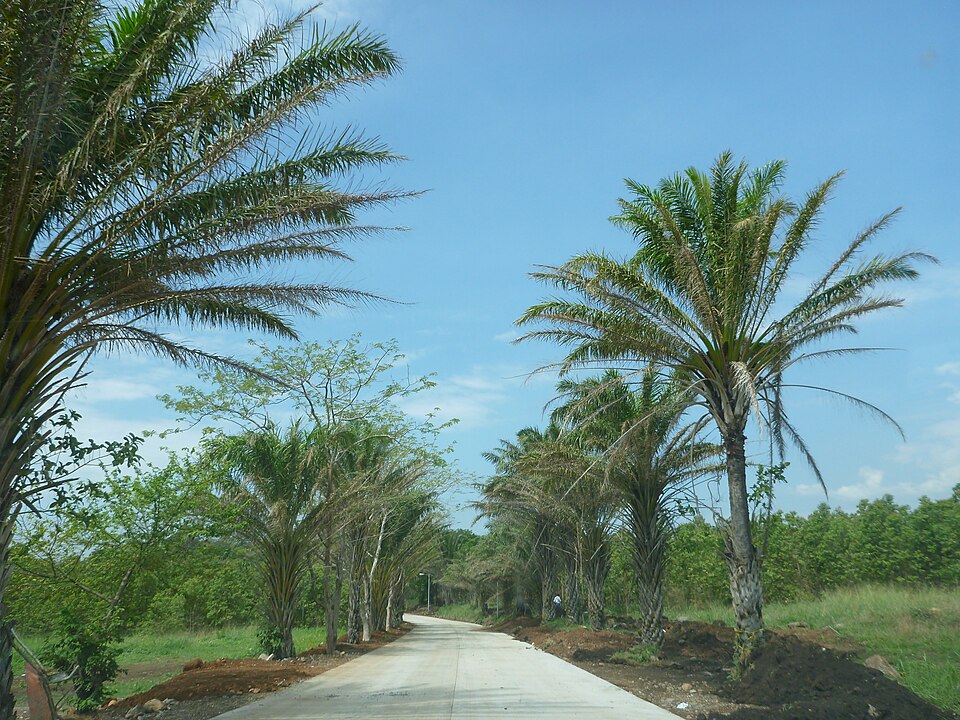 Villa Nueva — international and multi-region stores for local businesses