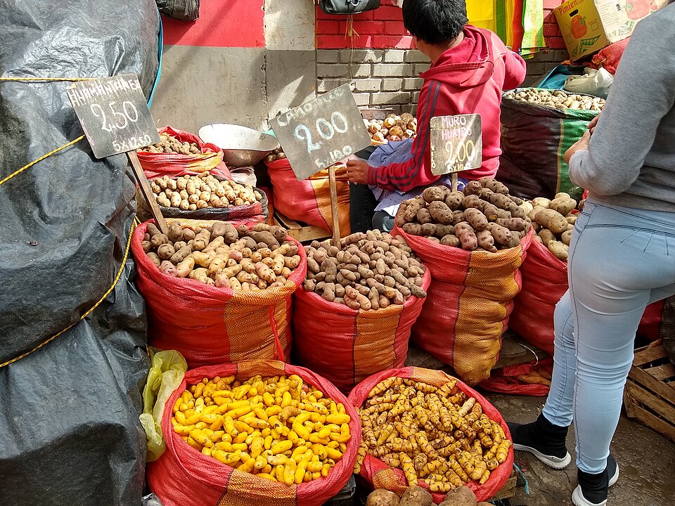 Huancayo — international and multi-region stores for local businesses