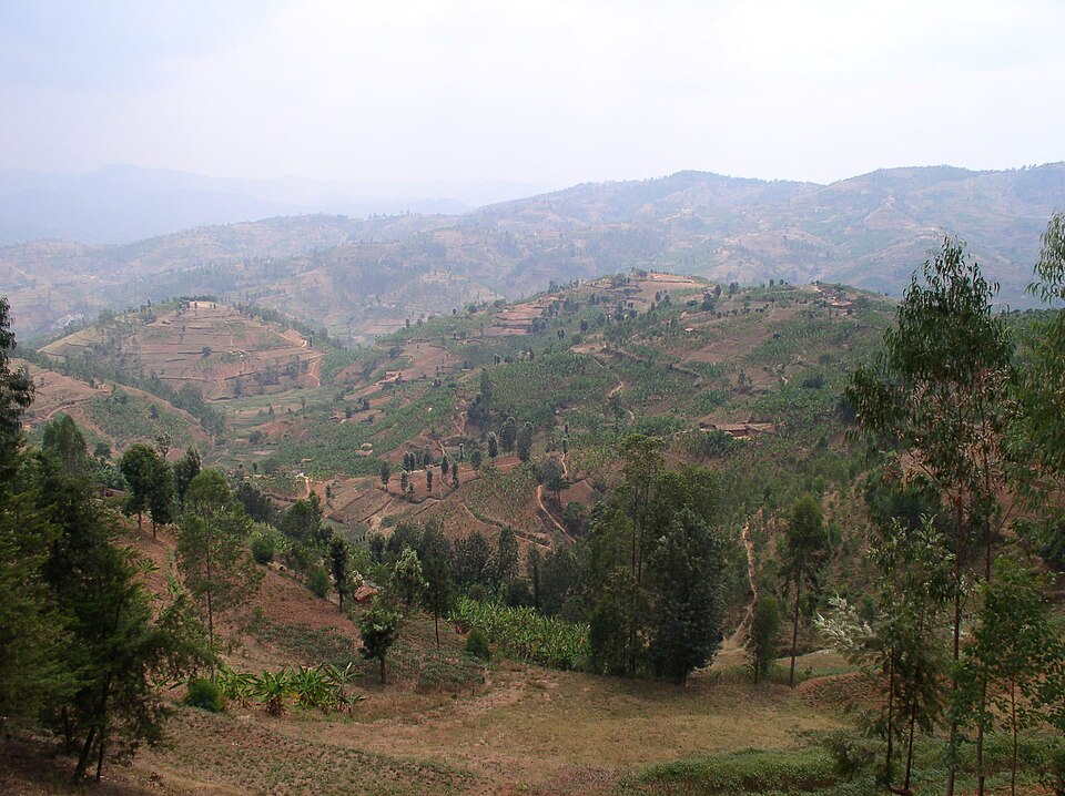 Rwanda — multi-vendor marketplaces for local businesses