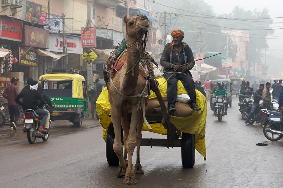 Bikaner — local market for subscription and membership platforms