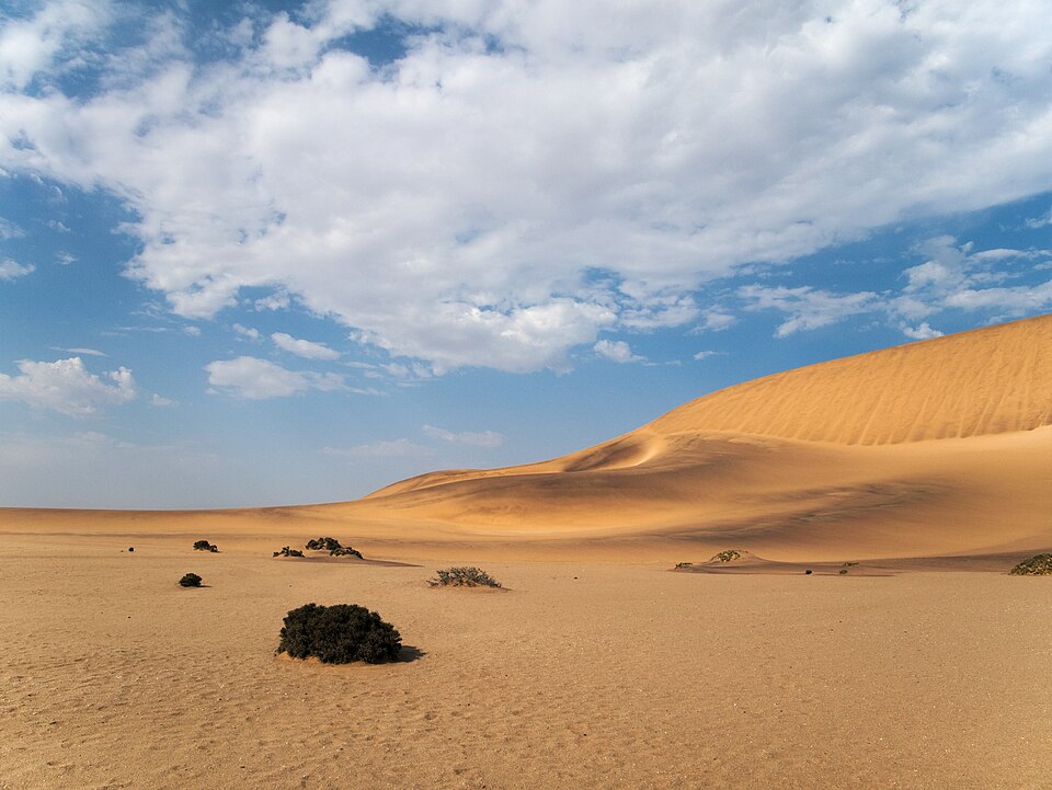 Swakopmund — local market for B2B and wholesale portals