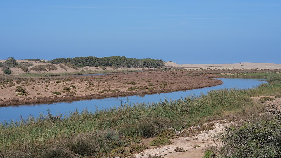 Rabat — local market for manufacturer and distributor portals