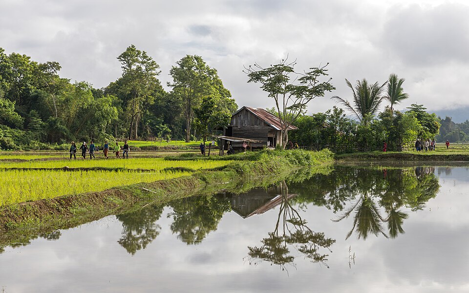 Vang Vieng — manufacturer and distributor portals for local businesses